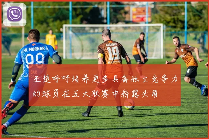 王楚呼吁培养更多具备独立竞争力的球员在五大联赛中崭露头角