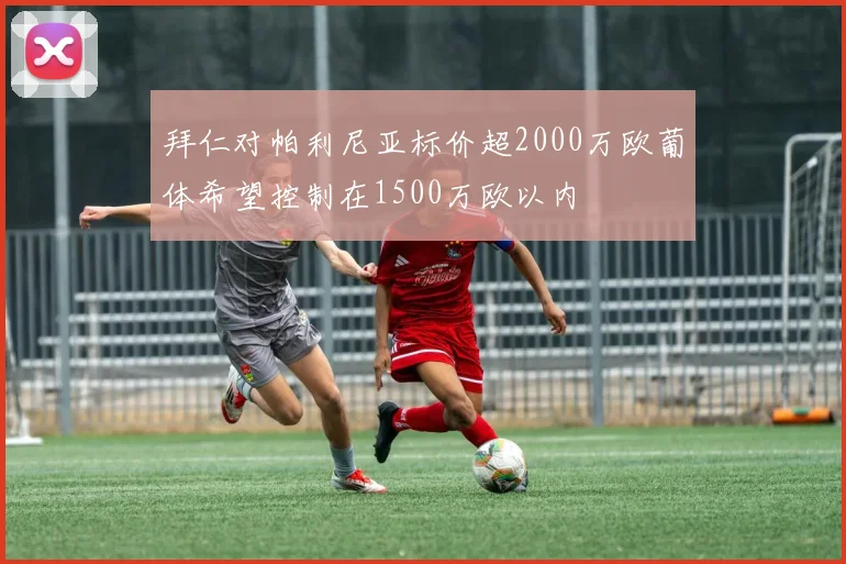 拜仁对帕利尼亚标价超2000万欧葡体希望控制在1500万欧以内